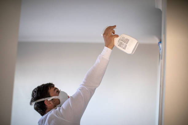 Best Kitchen Mold Remediation in Lake City, MN