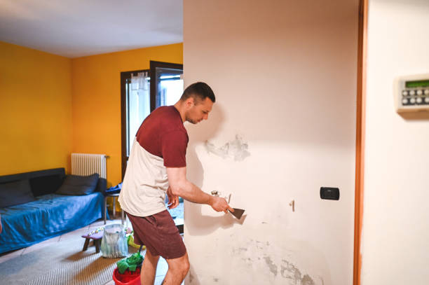 Best Health and Safety Mold Remediation in Lake City, MN